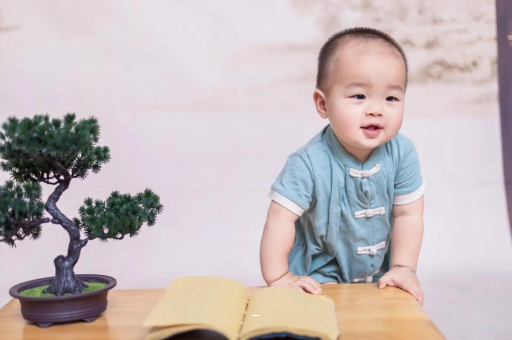 永兴可爱的企鹅宝宝